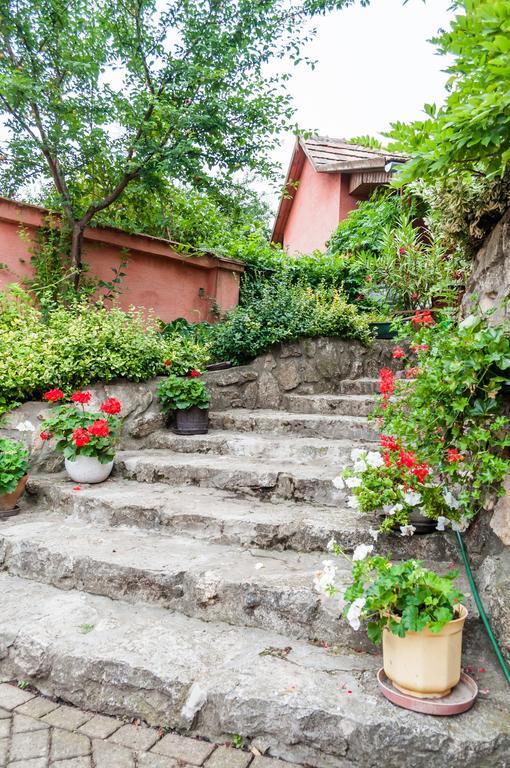 Babahaz Villa Bodajk Exteriör bild