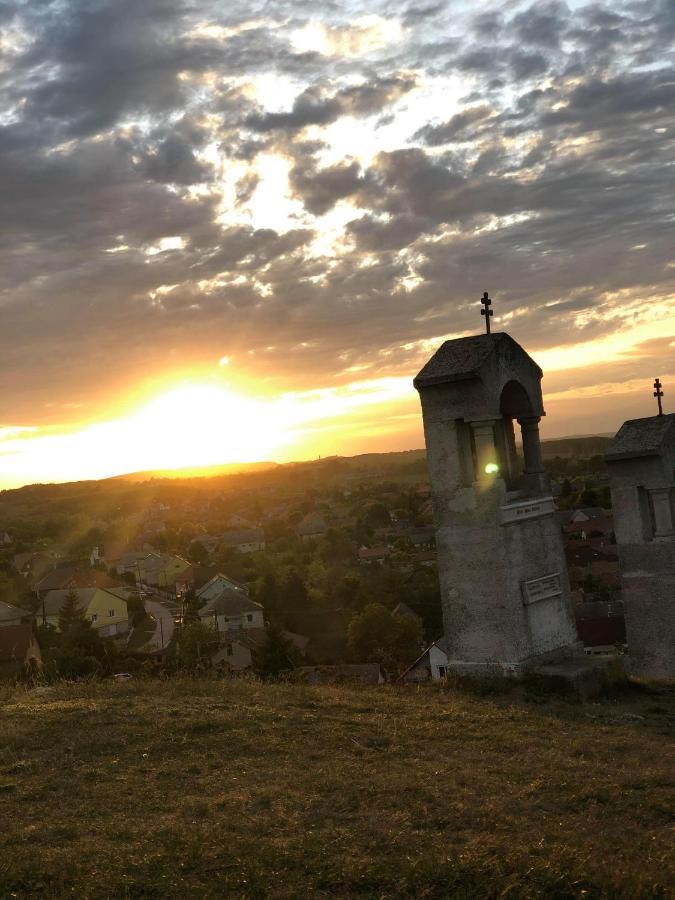 Babahaz Villa Bodajk Exteriör bild